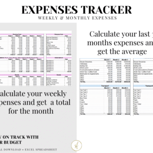 Skilled Finances Expense Tracker